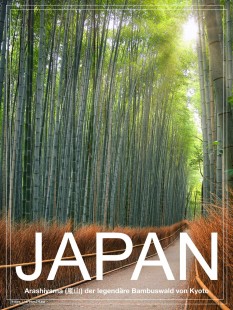 Arashiyama Bambuswald
